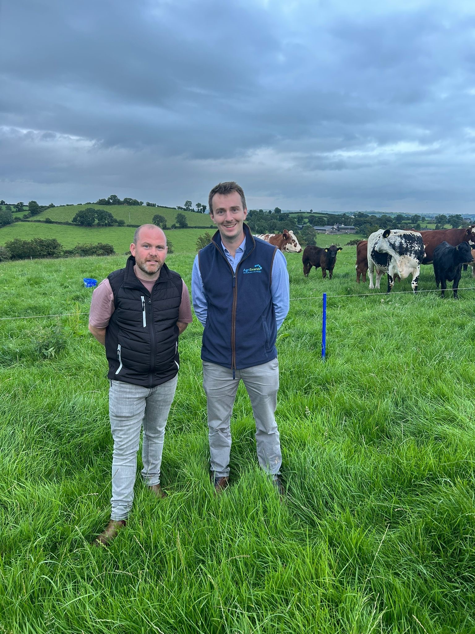strong grass growth and top stock performance at paraic mcneill farm walk