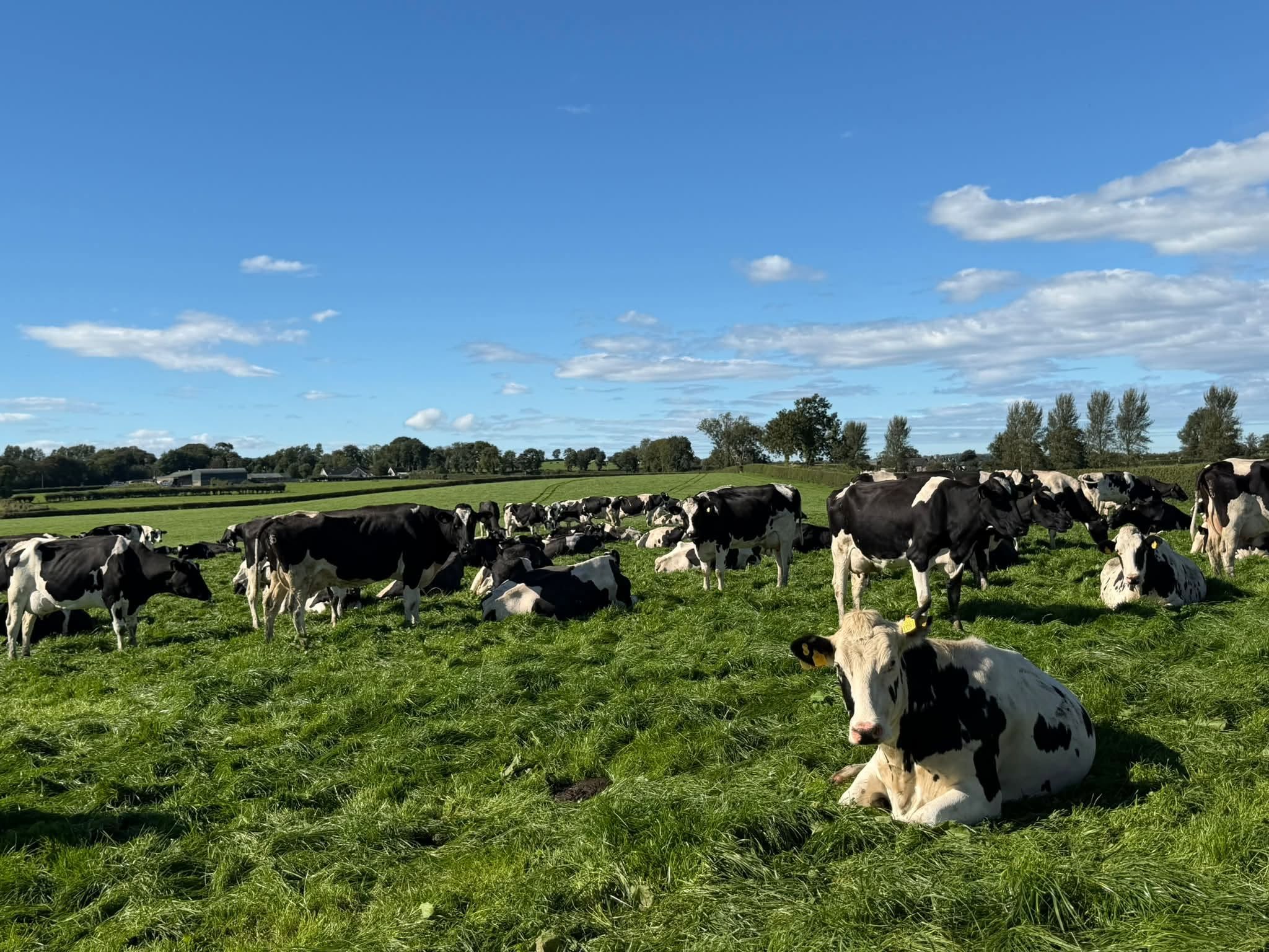 ulster grassland society autumn meeting 2026