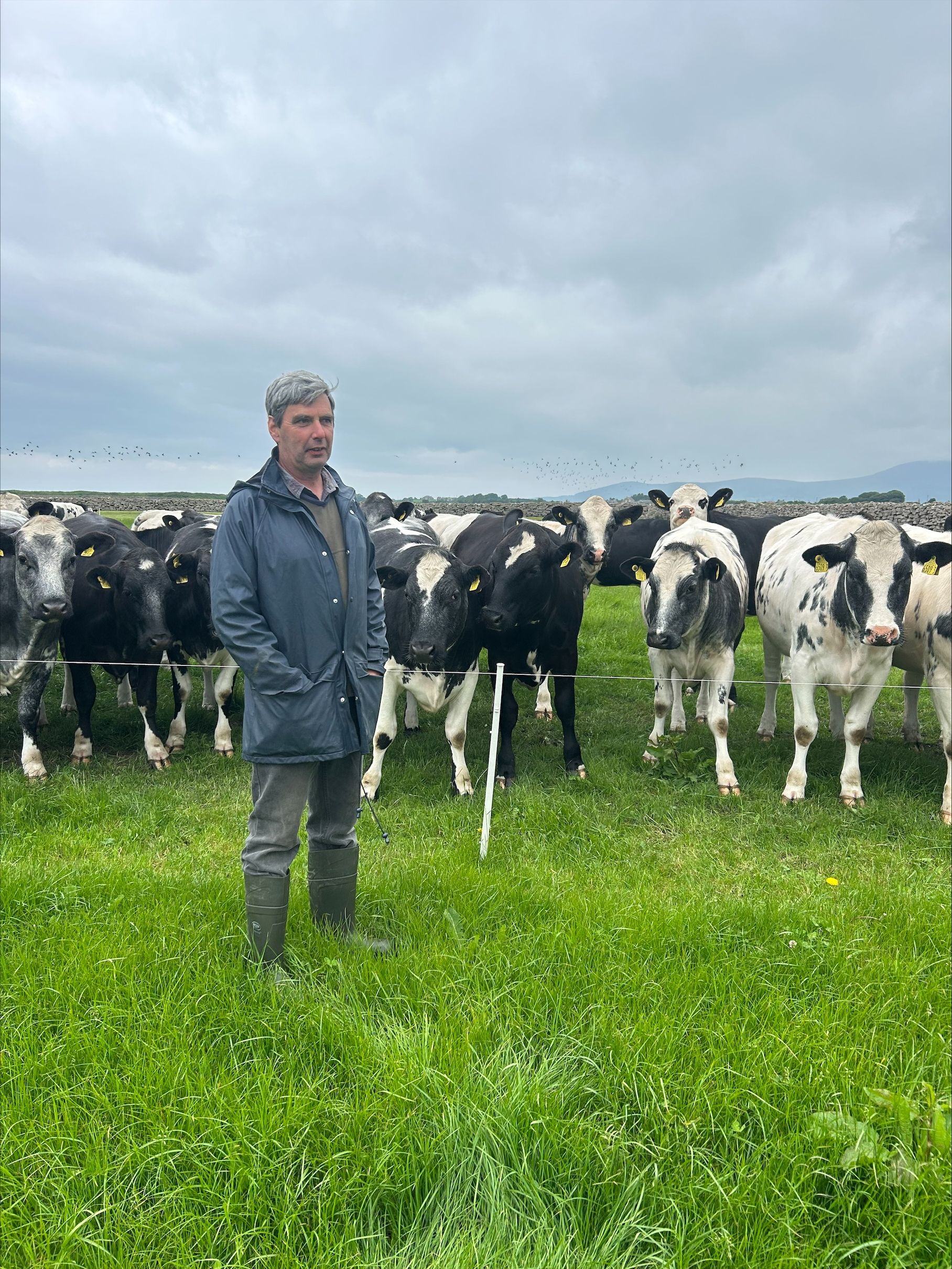 Agrisearch to Hold a Farm Walk in Kilkeel on How Grasscheck Plays a Crucial Role in Driving Performance and Profitability
