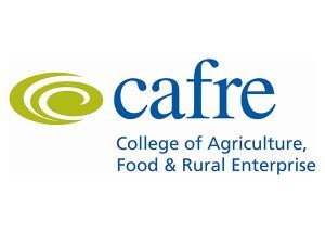 cafre clover open day