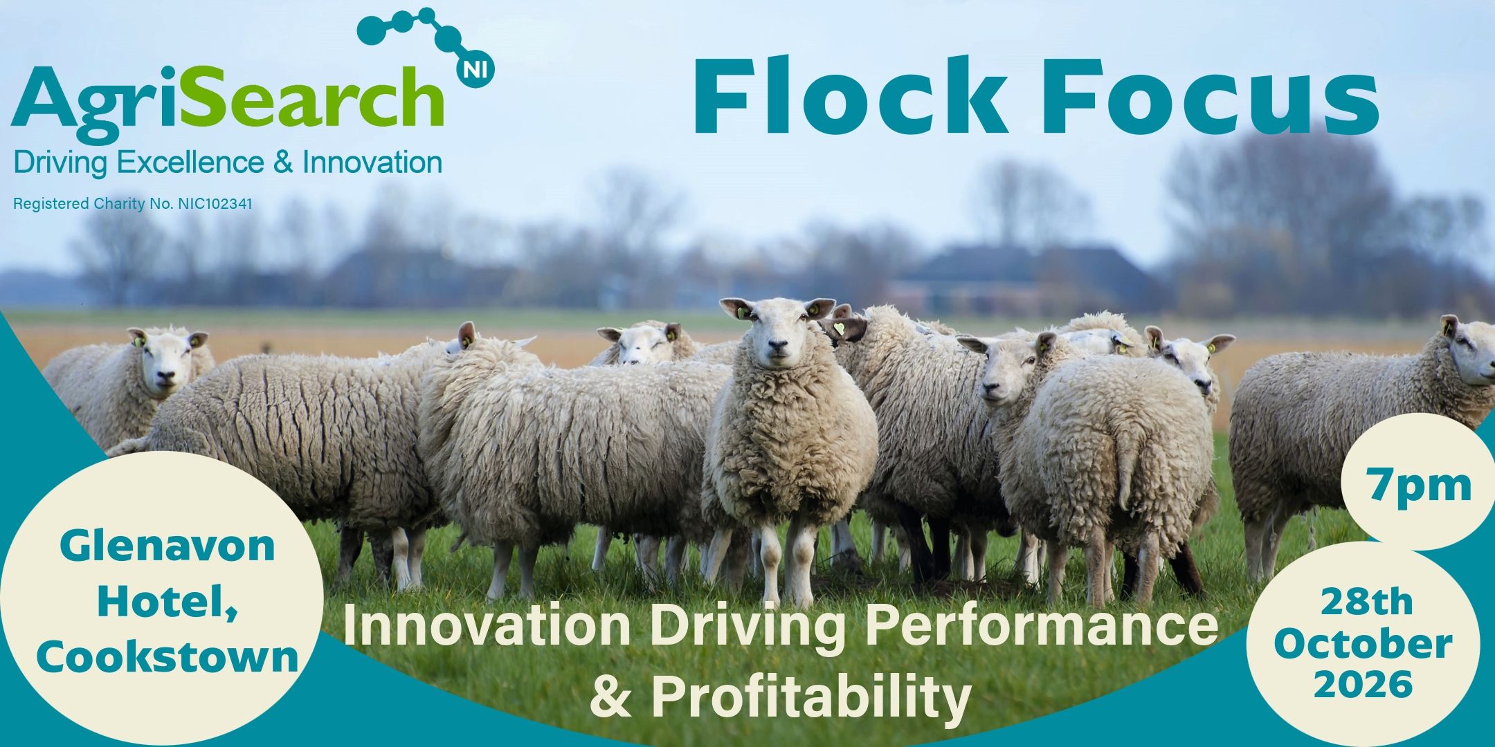 AgriSearch’s Flock Focus 2026 to explore sheep flock health, breeding and profitability